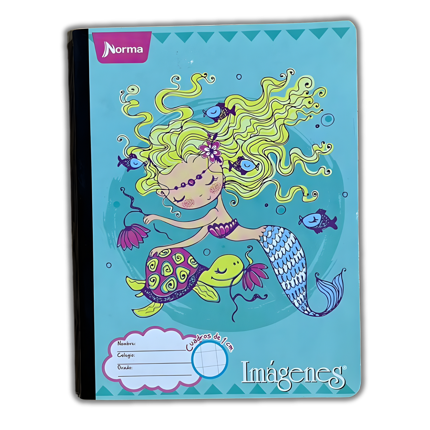 Cuaderno Cosido Imágenes Cuadro Grande 100 Hojas